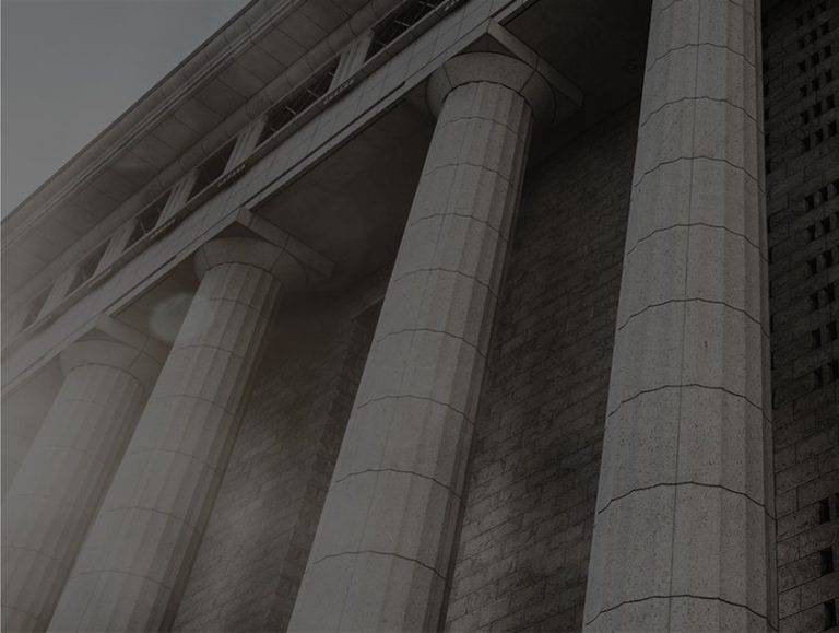 ANILF strategic legal guidance